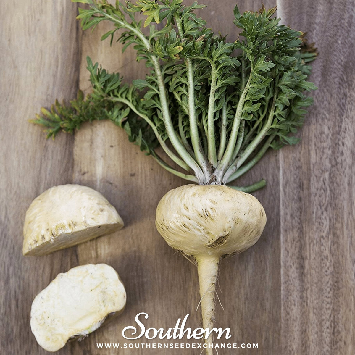 Maca – 25 Seeds