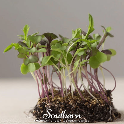 Southern Mild Microgreen Mix – 8 grams