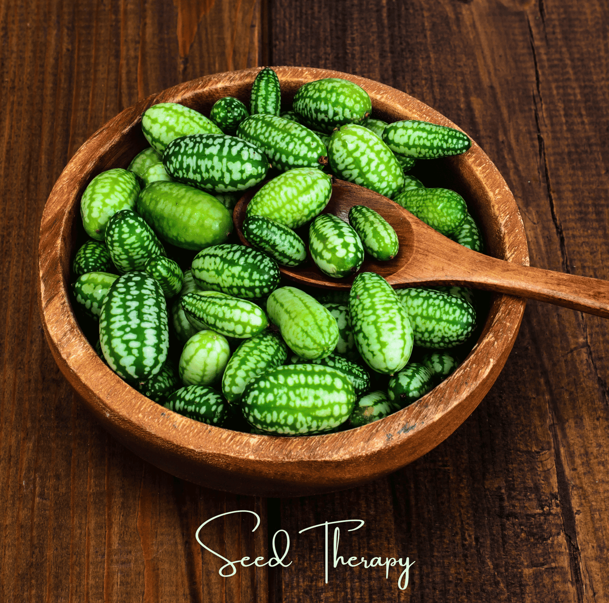 Mouse Melon – 10 Seeds