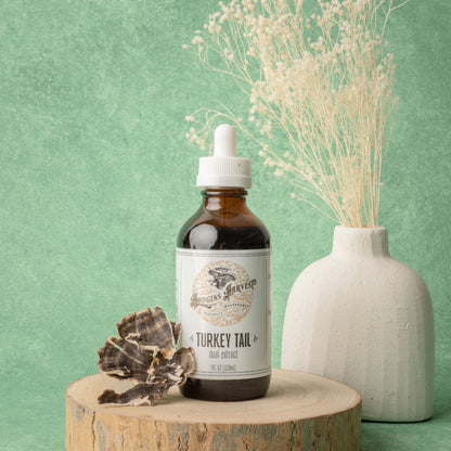 Turkey Tail Dual Extract Tincture