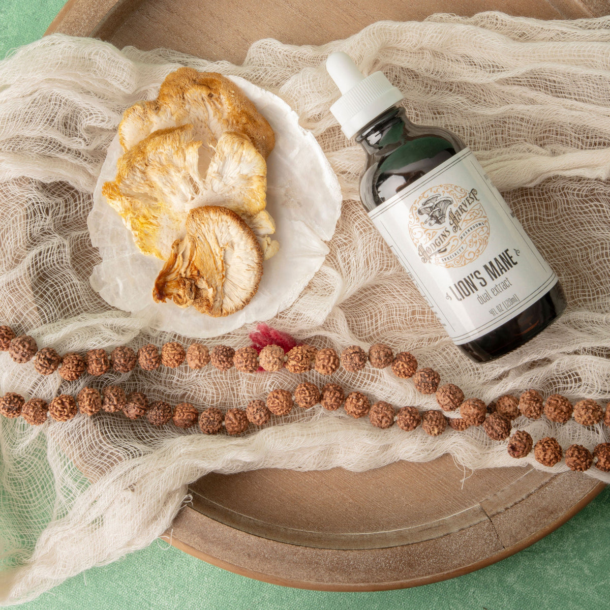 Lion's Mane Dual Extract Tincture