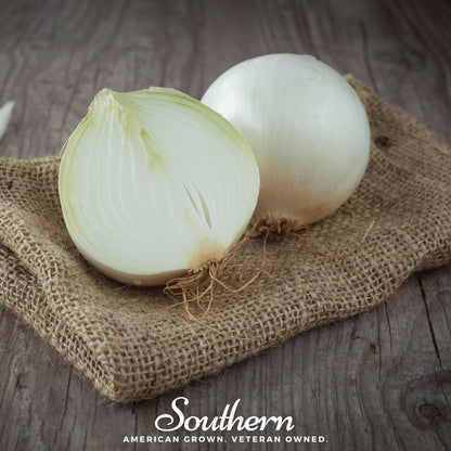 Spanish White Sweet Onion – 200 Seeds