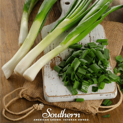 Tokyo Long White Onion – 200 Seeds