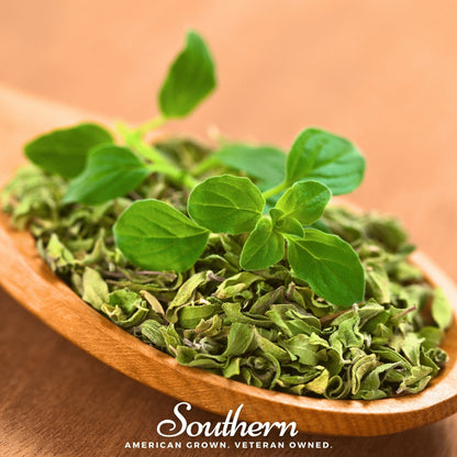Italian Oregano – 200 Seeds
