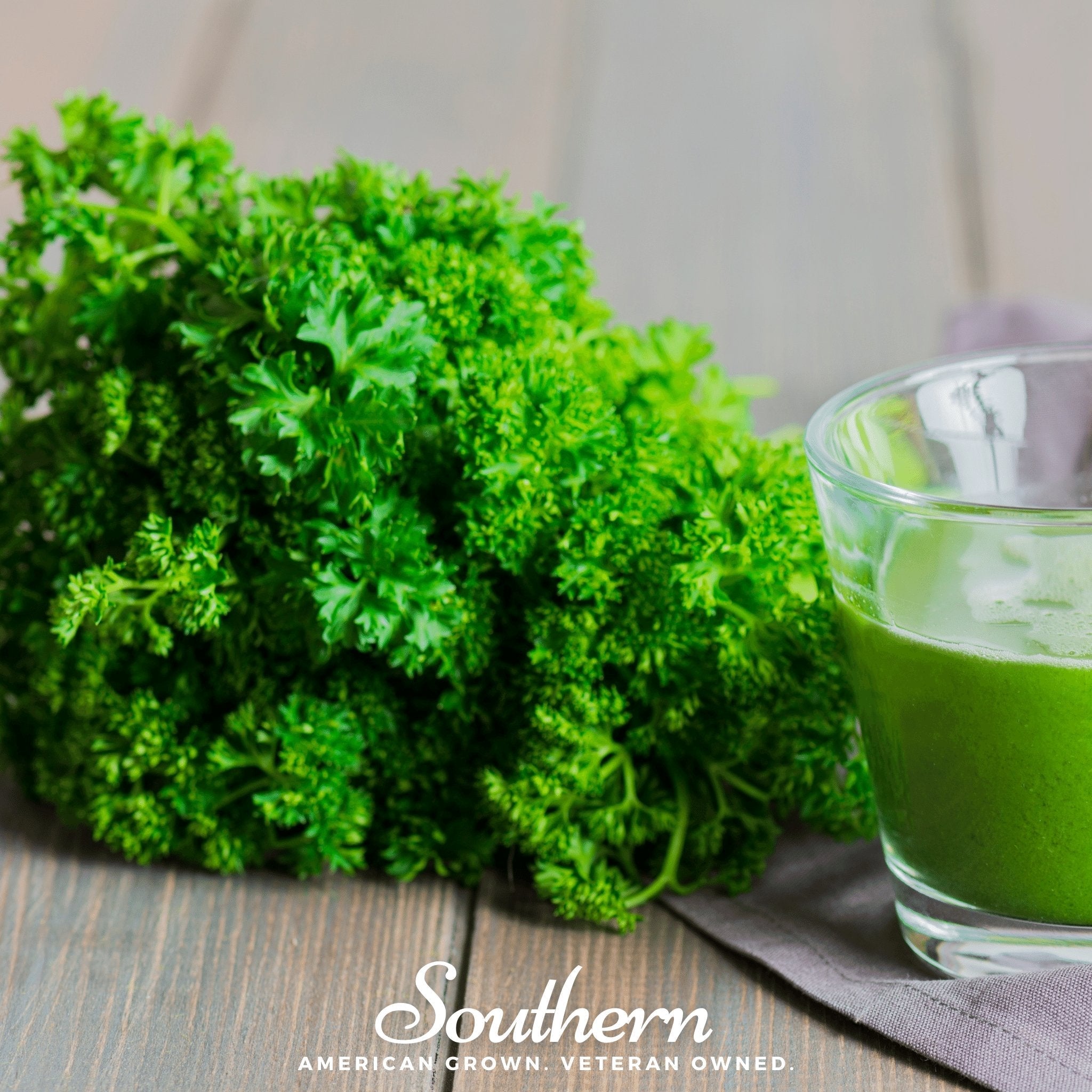 Evergreen Parsley – 200 Seeds