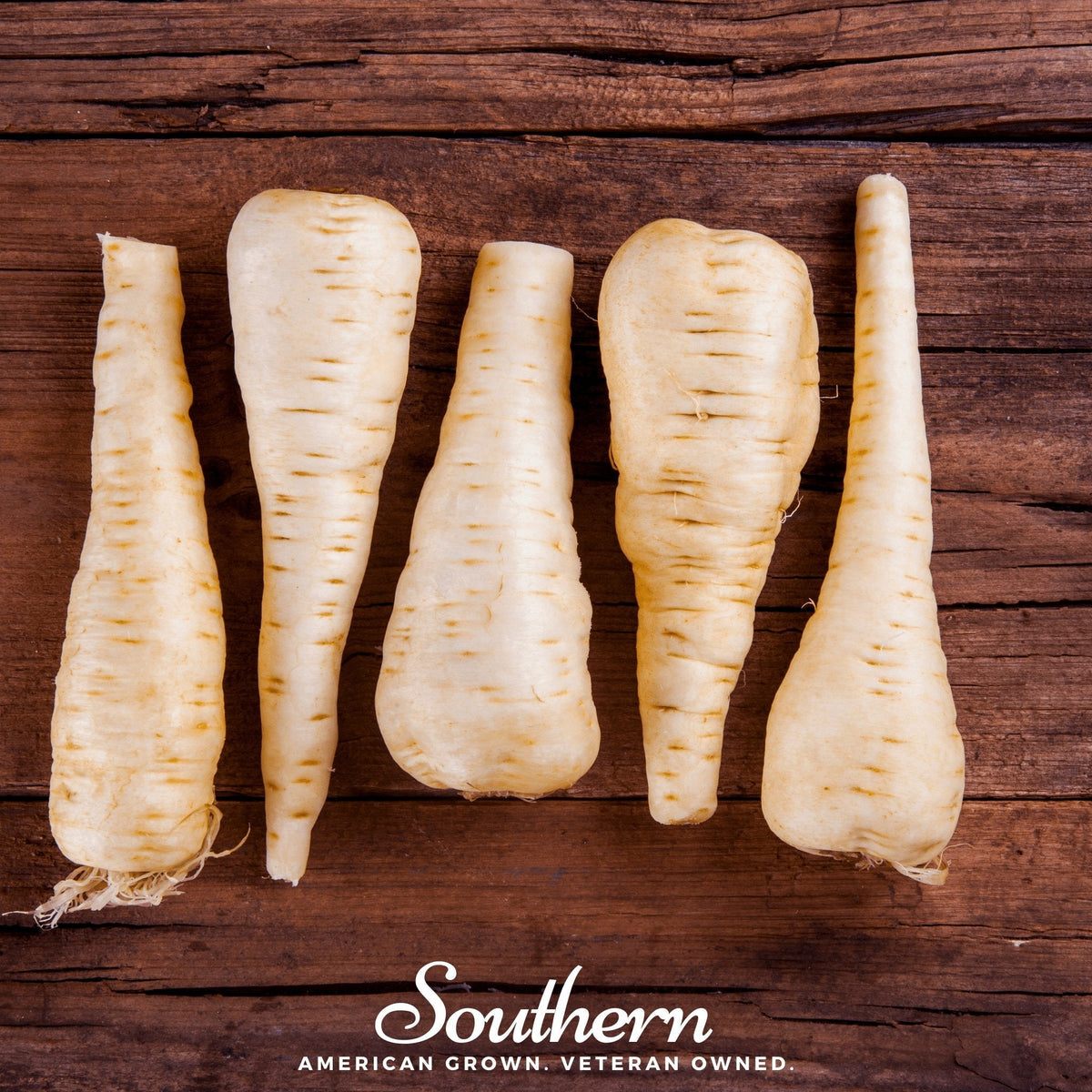 Harris Model Parsnip – 100 Seeds