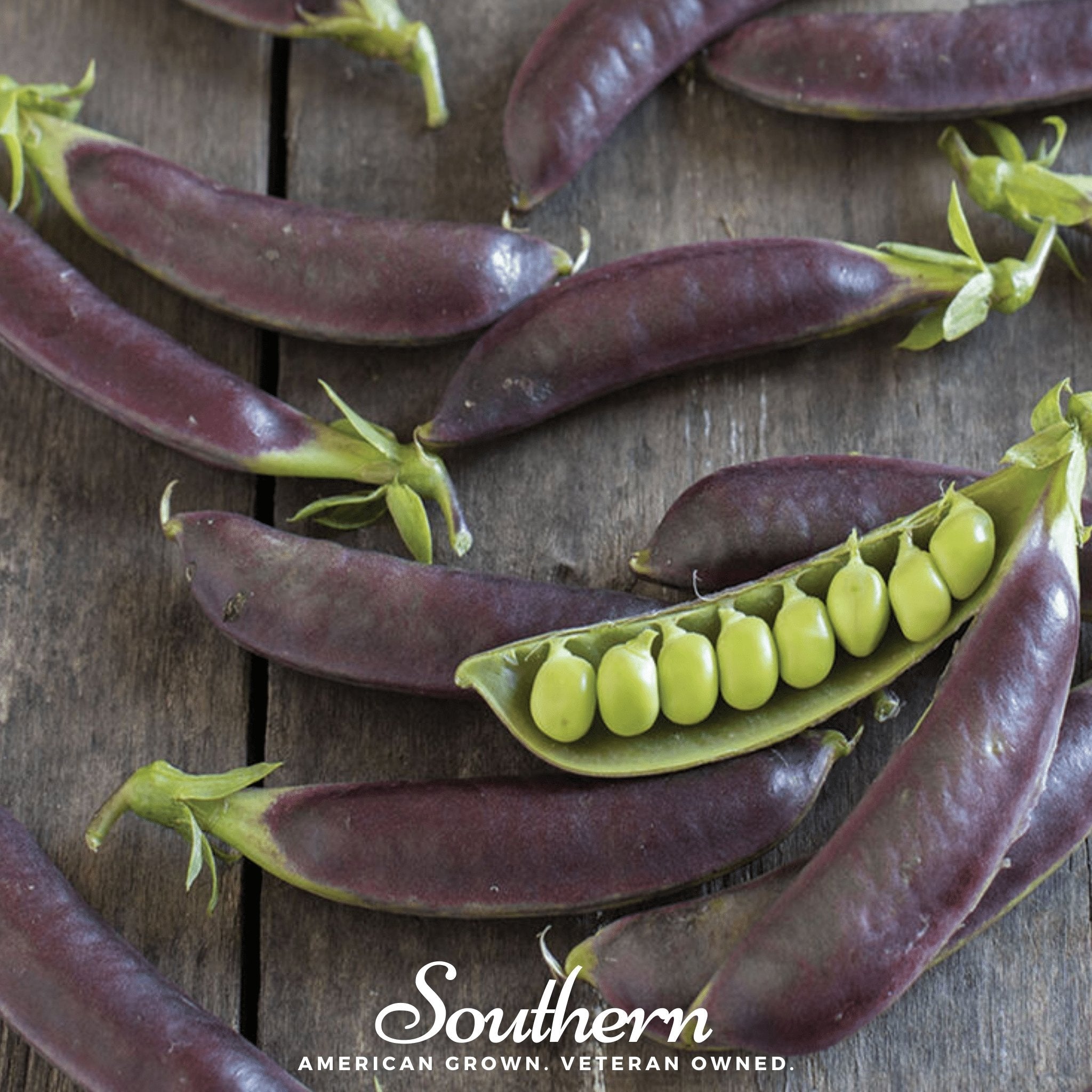 Royal Snap II Peas – 20 Seeds