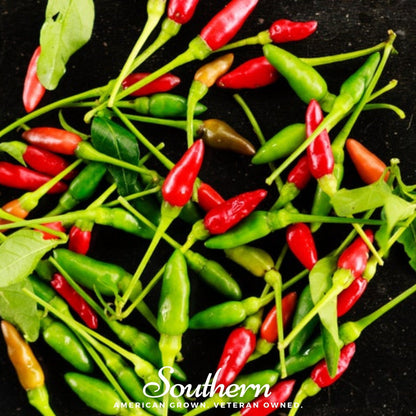 Birds Eye Chili Pepper – 30 Seeds