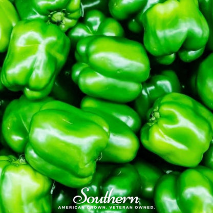 Cal Wonder Sweet Bell Pepper – 30 Seeds