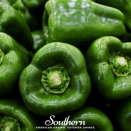 Emerald Giant Sweet Bell Pepper – 30 Seeds