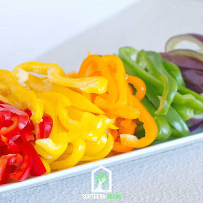 Rainbow Bell Sweet Pepper – 25 Seeds