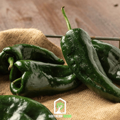 Pepper Seed Collection – 6 Essential Heirloom Peppers