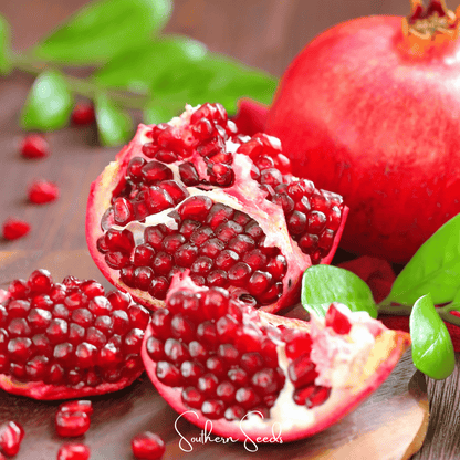 Pomegranate – 20 Seeds