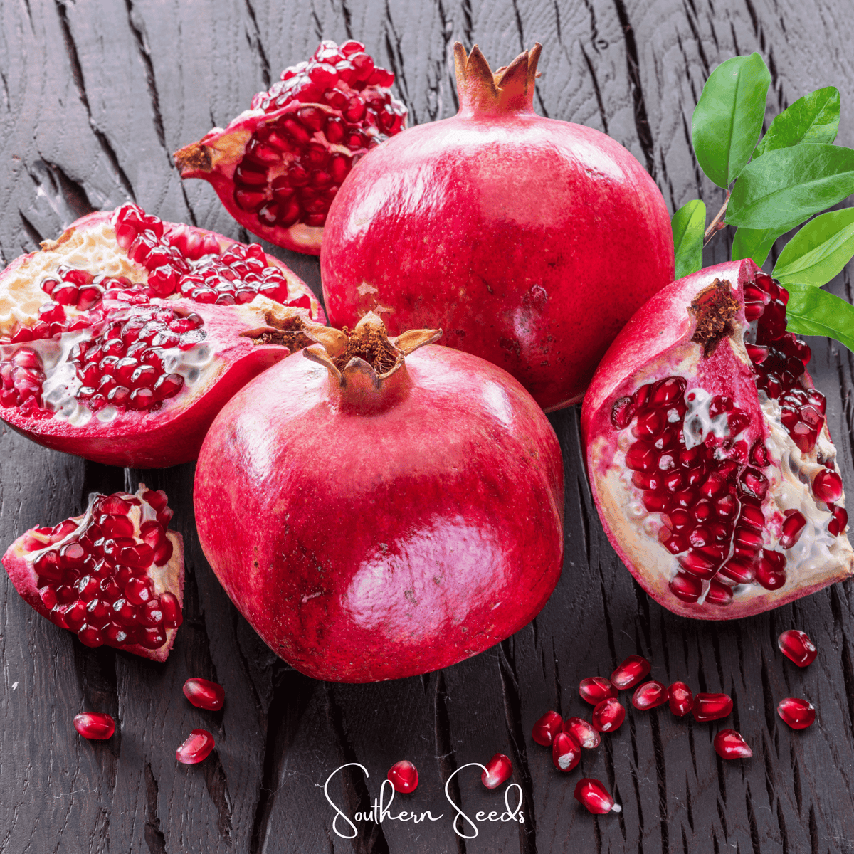 Pomegranate – 20 Seeds