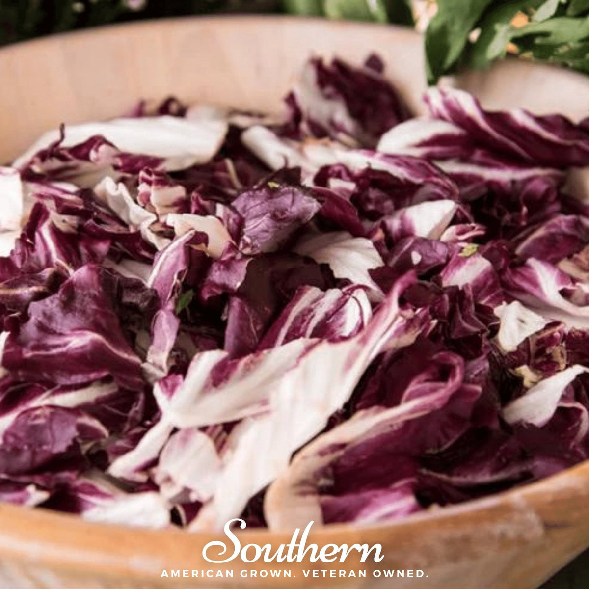 Palla Rossa Radicchio – 100 Seeds
