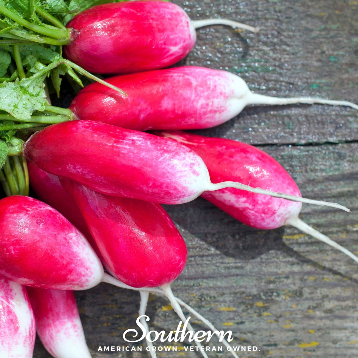 French Breakfast Radish – 250 Seeds