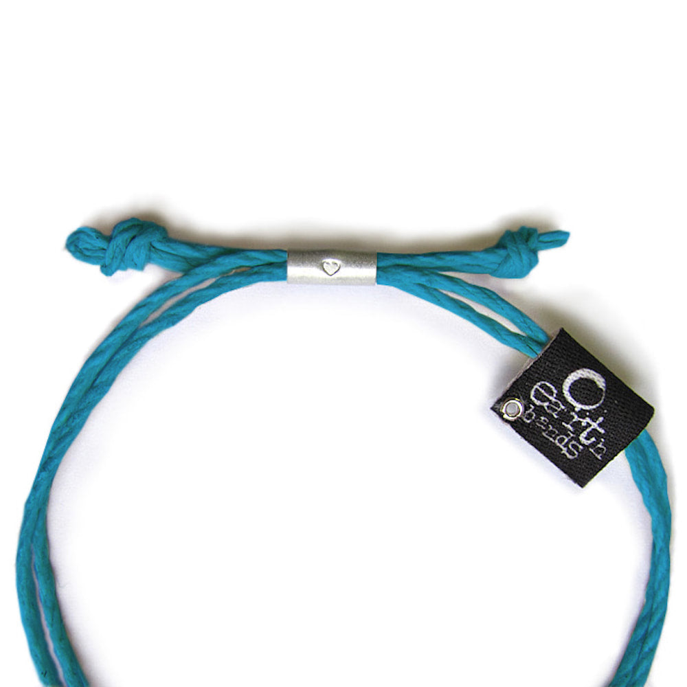 Alaska Northern Lights
