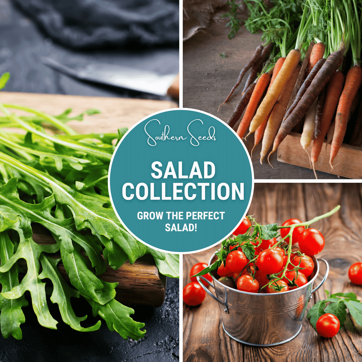 Salad Seed Collection – 6 Varieties