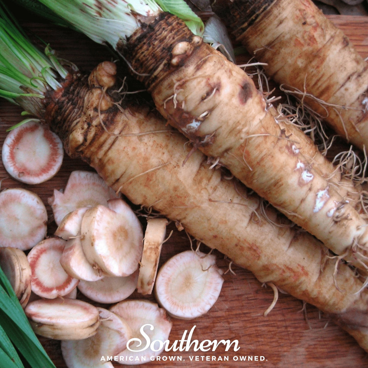 Mammoth Sandwich Island Salsify – 50 Seeds