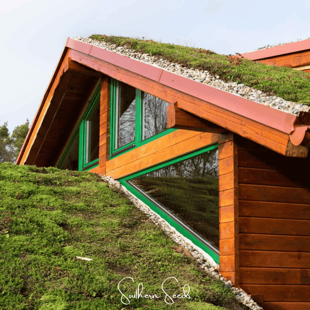 Sedum Roof Mix – 500 Seeds