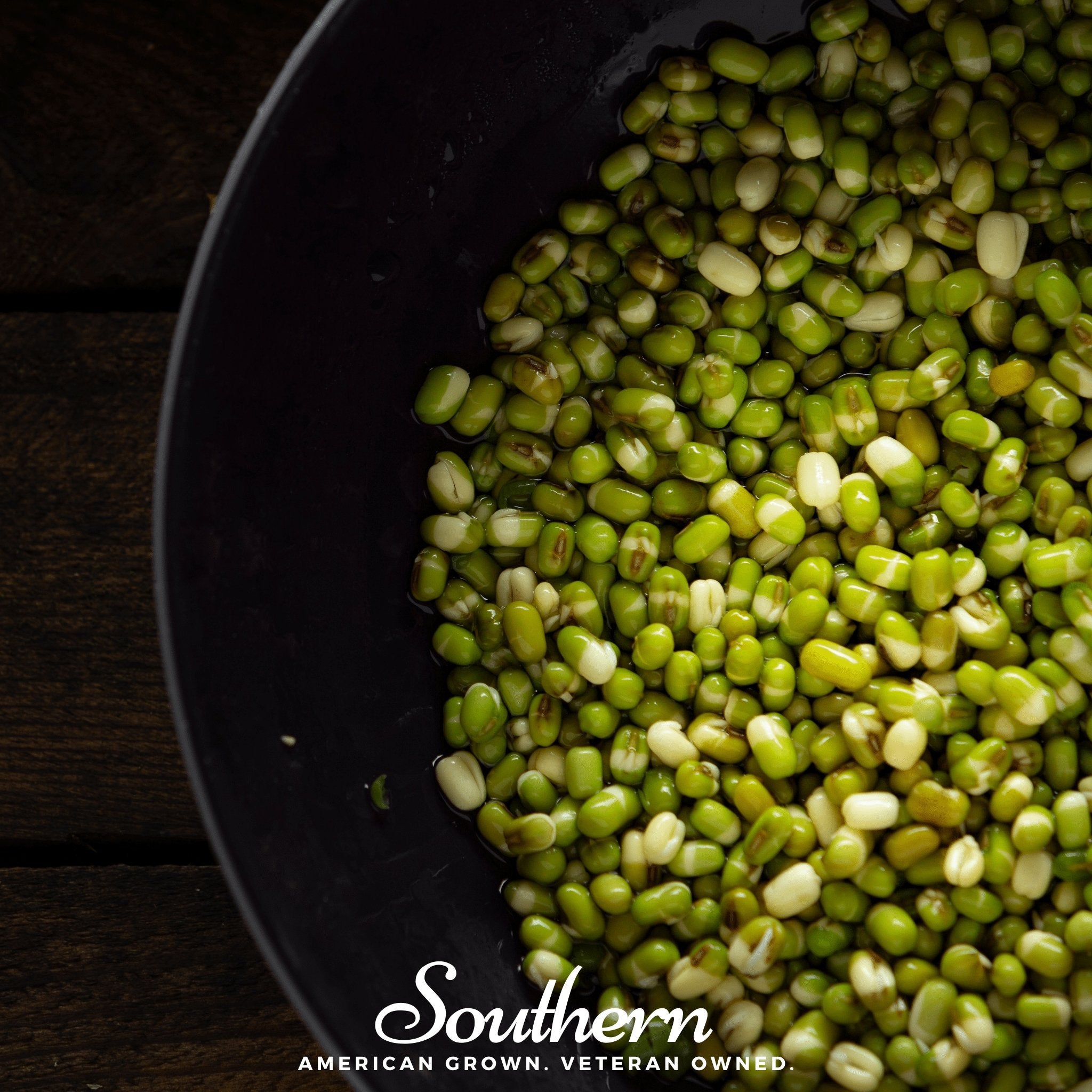 Mung Beans Sprout – 500 Seeds