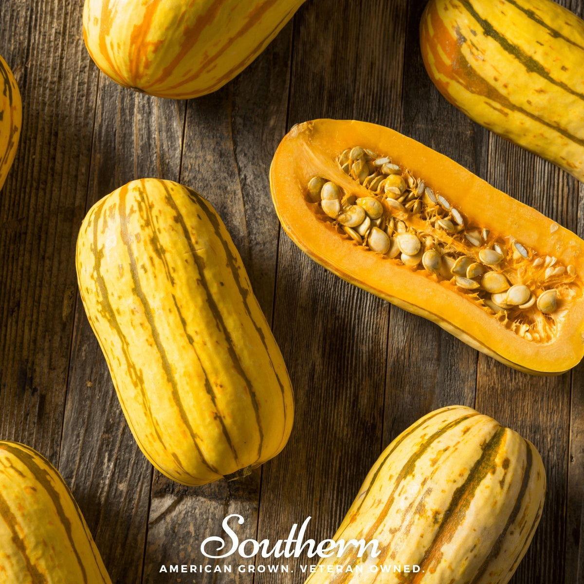Delicata Squash – 20 Seeds