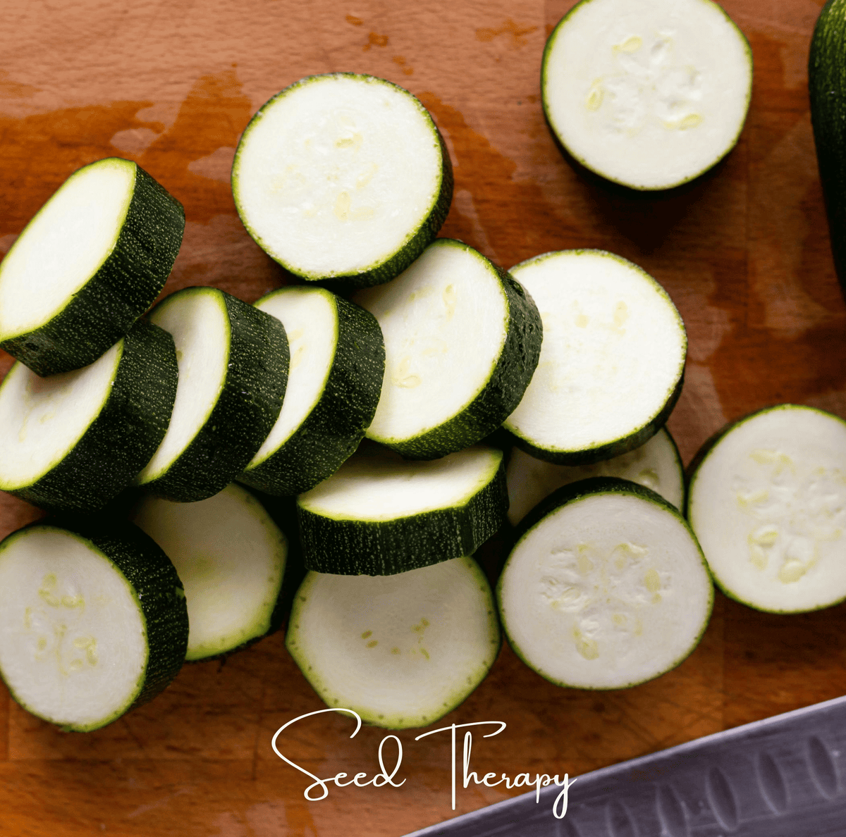 Black Beauty Summer Zucchini Squash – 25 Seeds