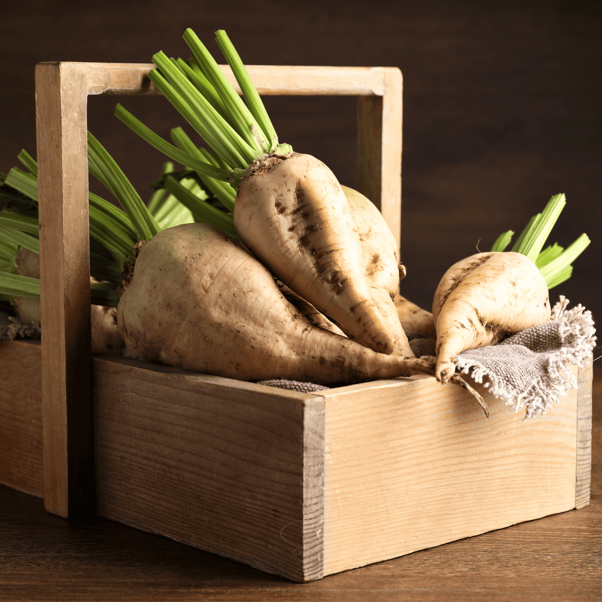 Sugar Beet – 50 Seeds