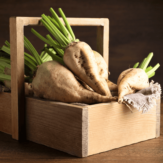 Sugar Beet – 50 Seeds