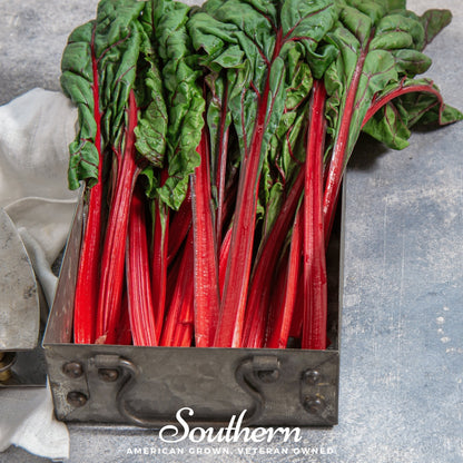 Ruby Red Swiss Chard – 100 Seeds