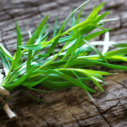 Tarragon – 300 Seeds