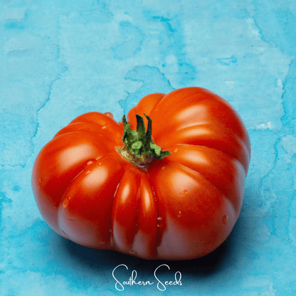 Red Brandywine Tomato –  50 Seeds