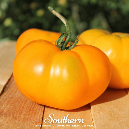 Yellow Brandywine Tomato – 50 Seeds