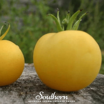 Garden Peach Tomato – 50 Seeds