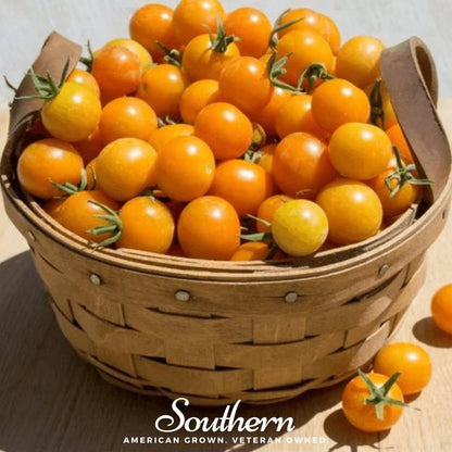 Gold Nugget Tomato – 50 Seeds