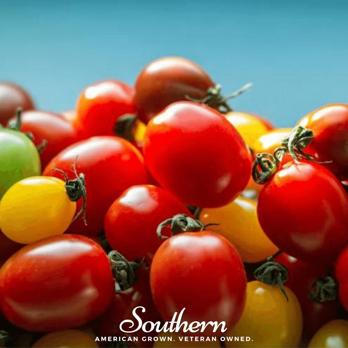 Rainbow Cherry Tomato – 50 Seeds