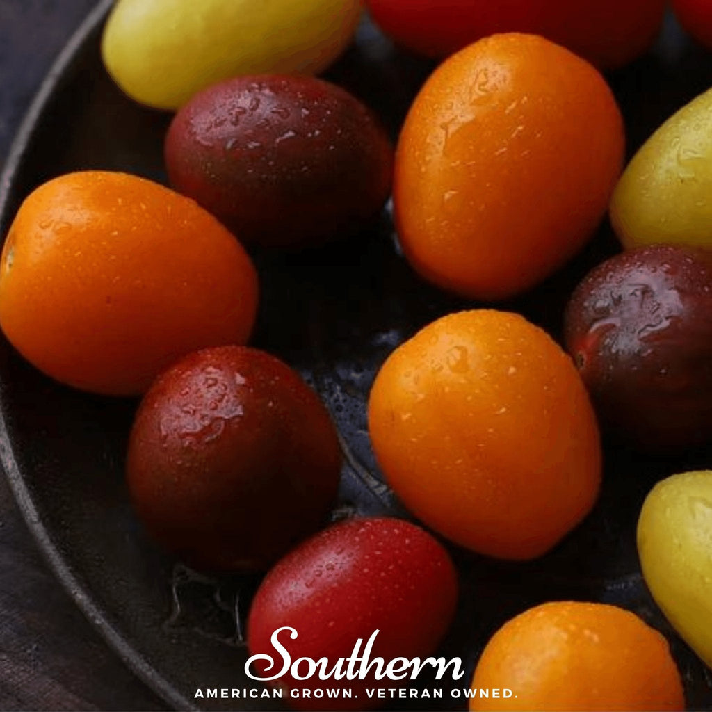 Rainbow Cherry Tomato – 50 Seeds