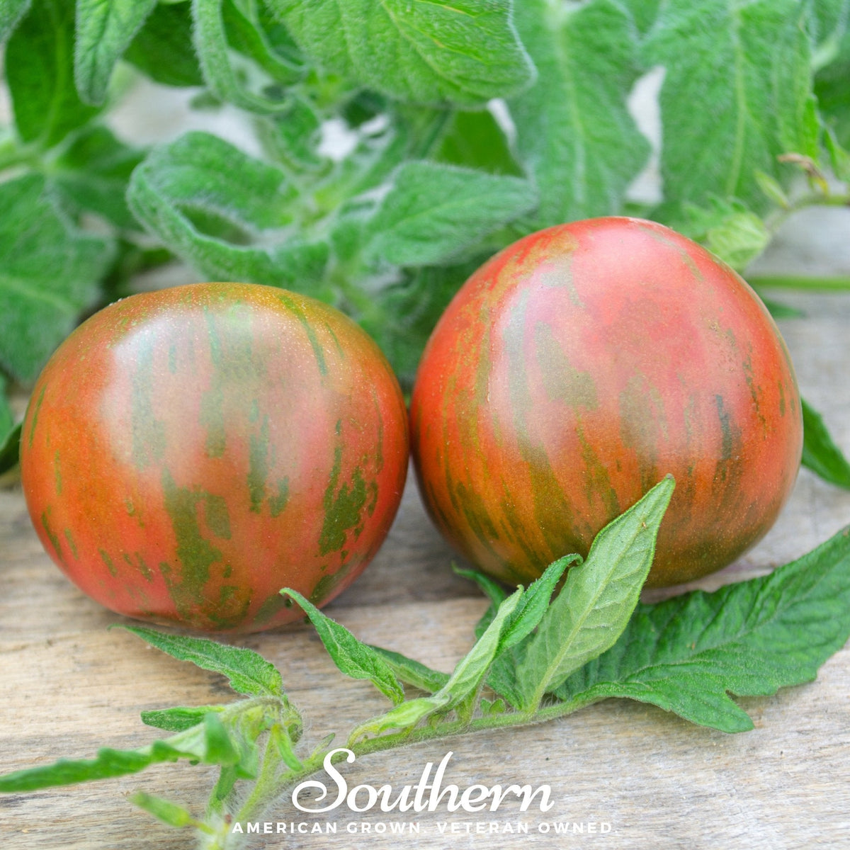 Tigerella Tomato – 50 Seeds