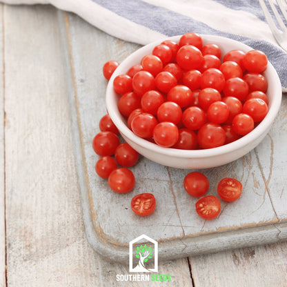 World's Smallest Tomato – Tomberry – 25 Seeds