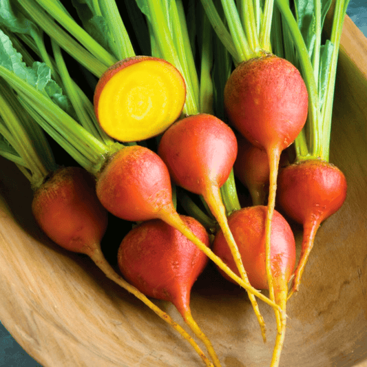 Touchstone Beet – 50 Seeds