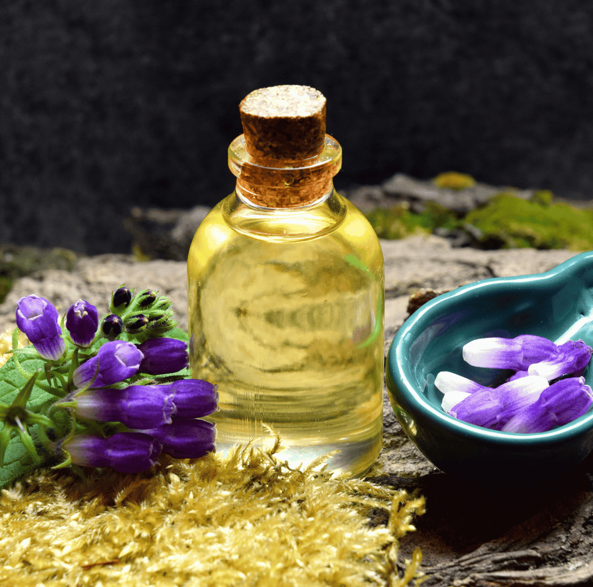 True Comfrey – 20 Seeds