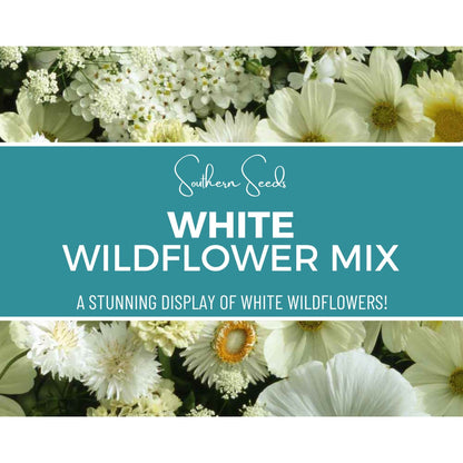 White Wildflower Seed Mix – 100 Seeds
