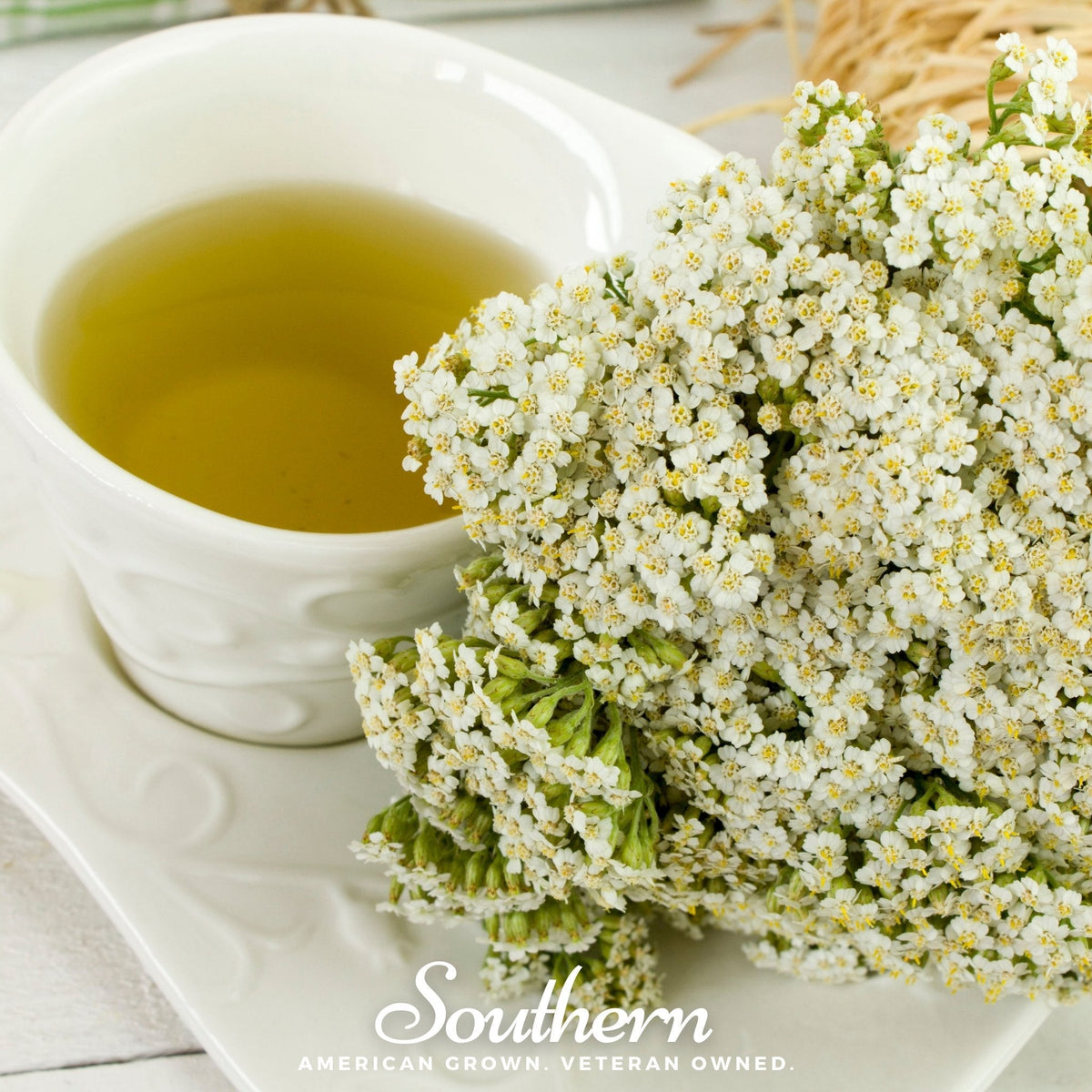 White Yarrow – 100 Seeds